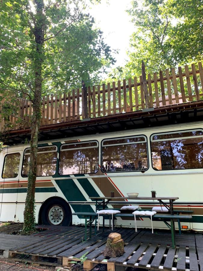 Magic Roof Top Bus With Big Bath In The Tree Forest! Mimizan Exterior foto