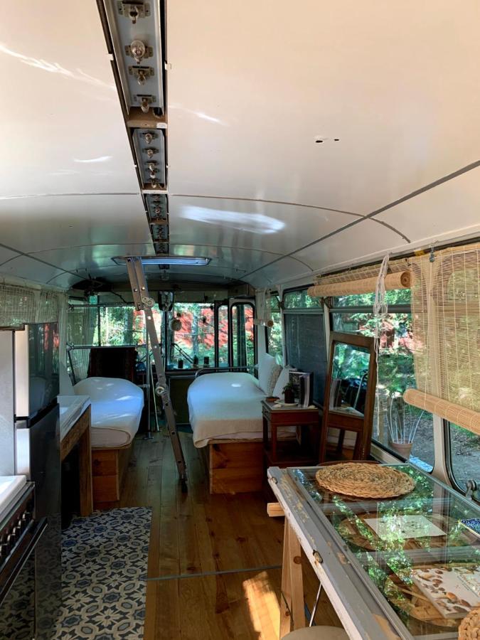 Magic Roof Top Bus With Big Bath In The Tree Forest! Mimizan Exterior foto