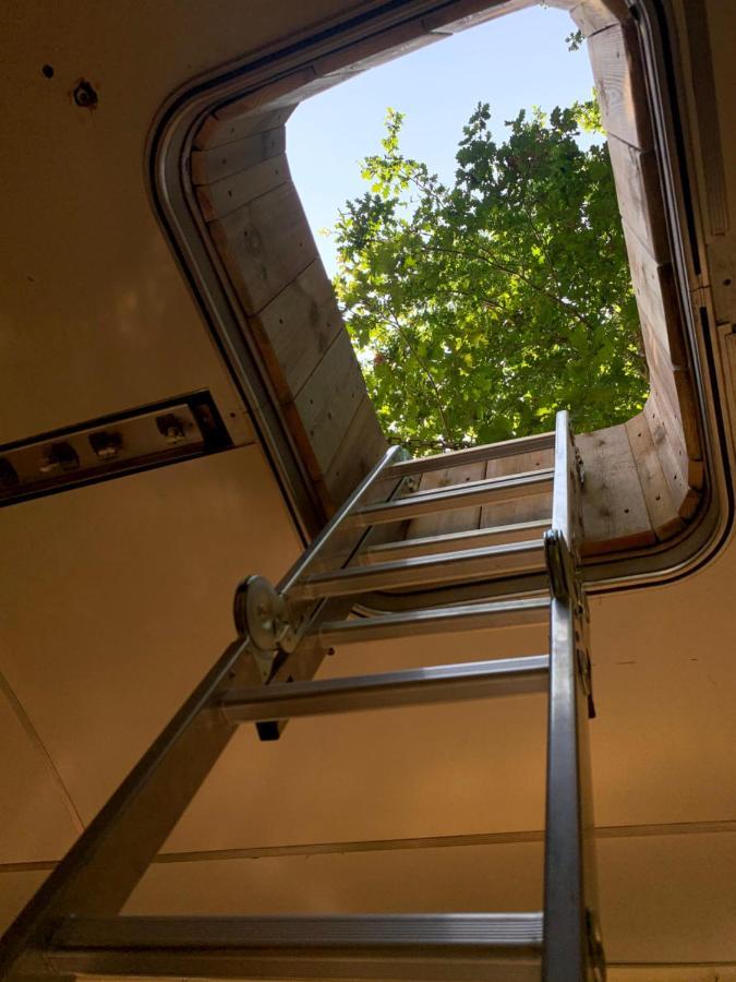 Magic Roof Top Bus With Big Bath In The Tree Forest! Mimizan Exterior foto