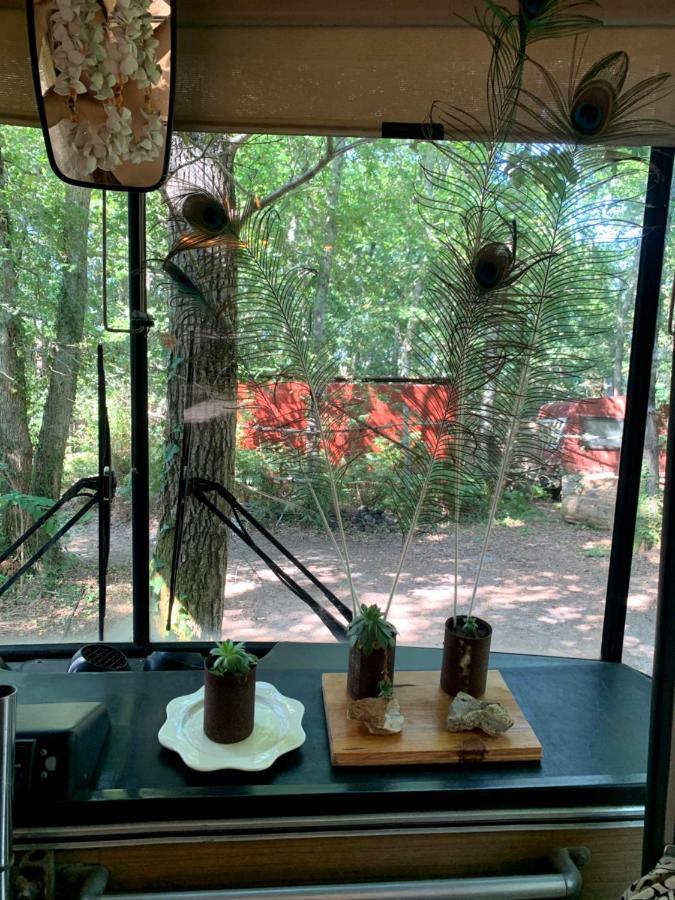 Magic Roof Top Bus With Big Bath In The Tree Forest! Mimizan Exterior foto